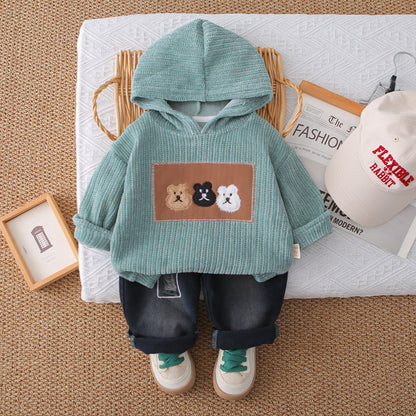 Boys Bear Hoodie Set